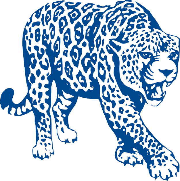 South Alabama Jaguars 1993-2007 Partial Logo v2 iron on transfers for fabric